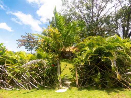 a green jungle gate